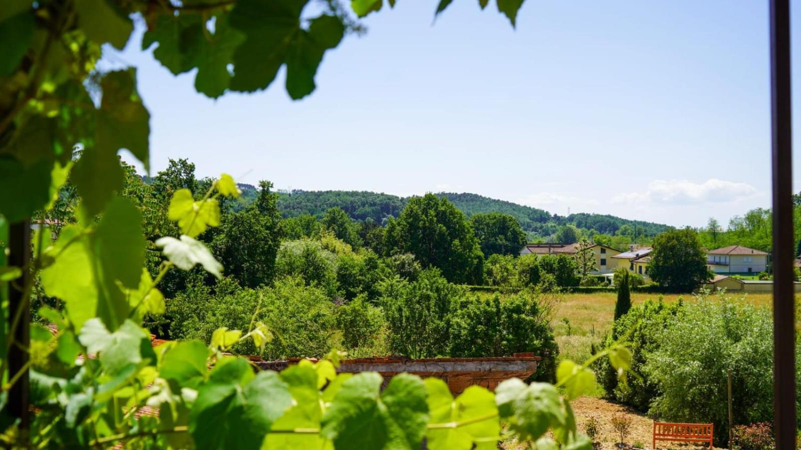 Bed and Breakfast Wine House Capannori Exterior foto