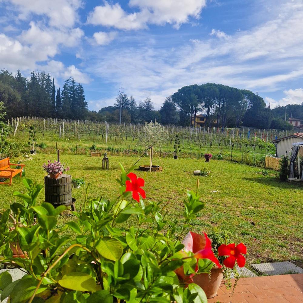 Bed and Breakfast Wine House Capannori Exterior foto
