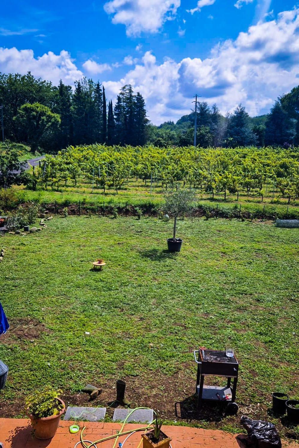 Bed and Breakfast Wine House Capannori Exterior foto
