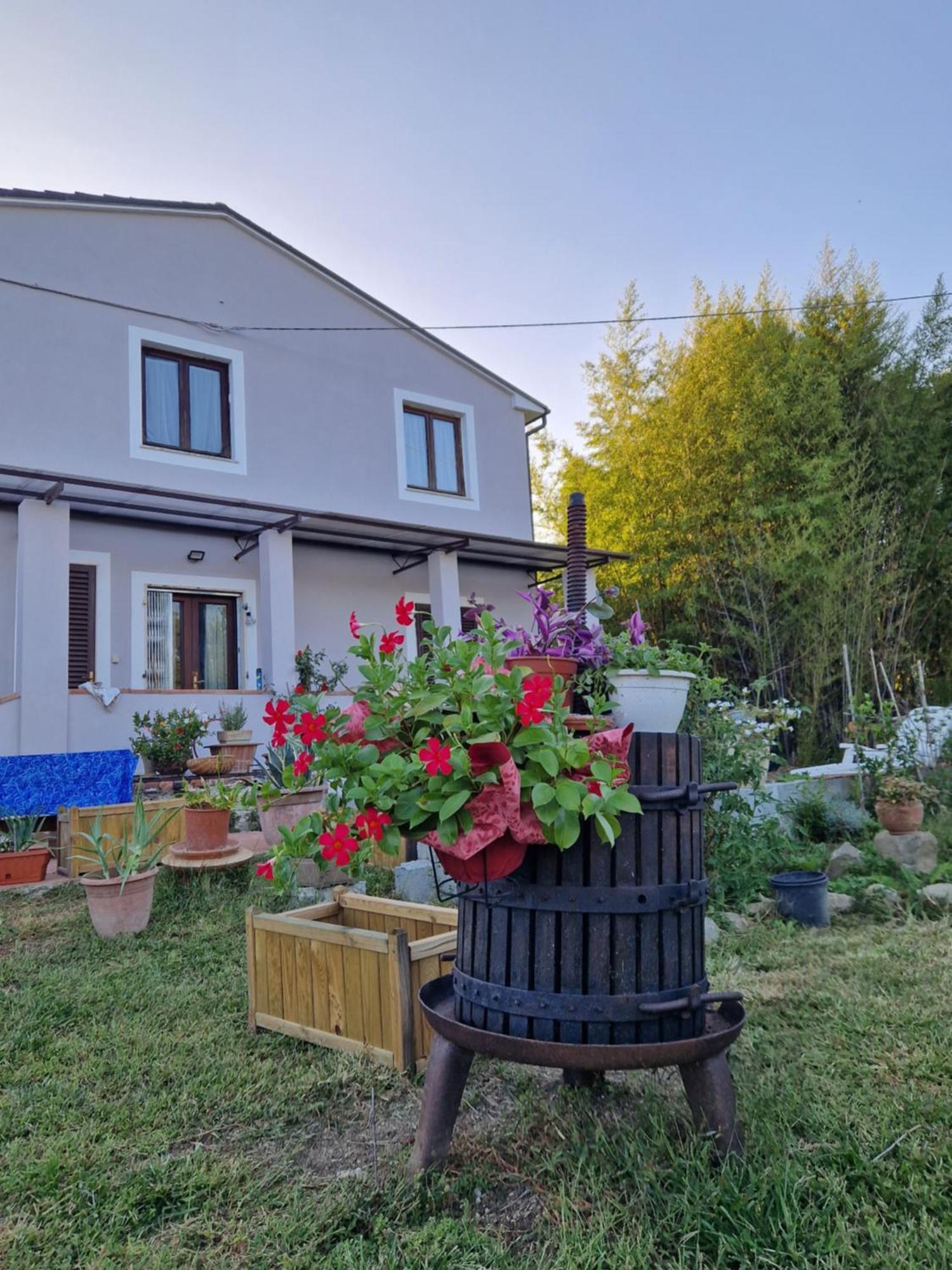 Bed and Breakfast Wine House Capannori Exterior foto